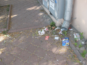 Київ перетворюється на смітник (фото як доказ)